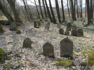 The Jewish cemetery near Porejov.