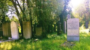 Graves in the old Jewish part of the Central Cemetery. 